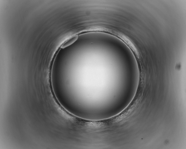 X0000099450805200805091504