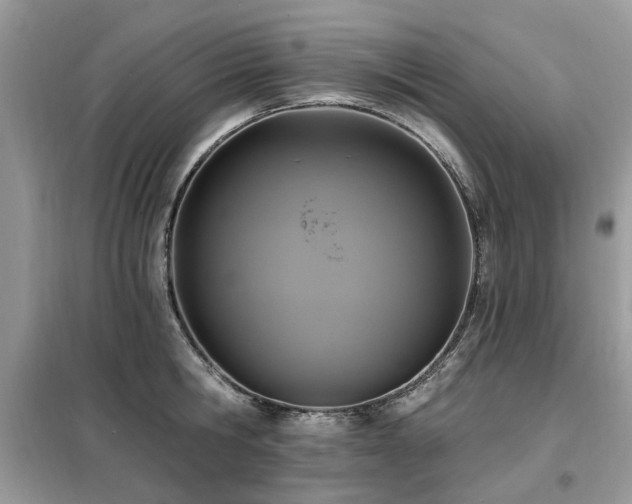 X0000099450806200805091504