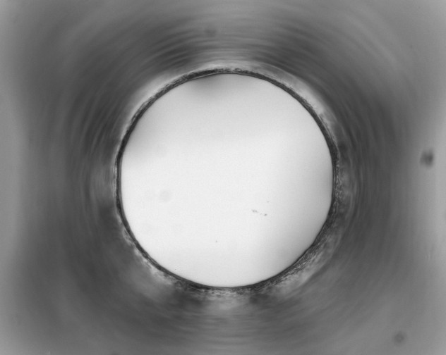 X0000099450807200805091504