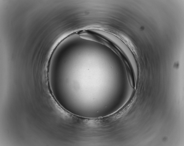 X0000099450808200805091504