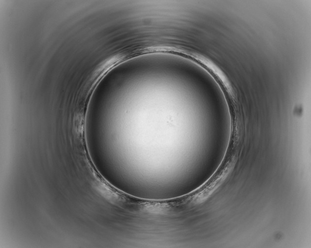 X0000099450809200805091504