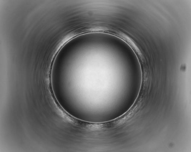 X0000099450810200805091504