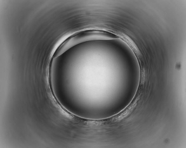 X0000099450812200805091504