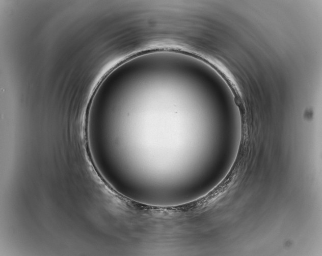 X0000099450815200805091504