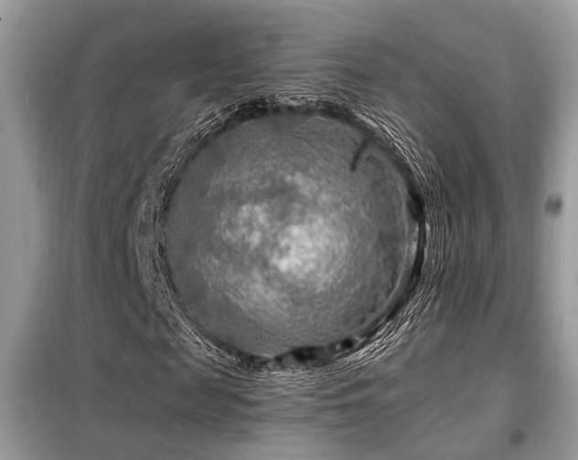 X0000099450817200805091504