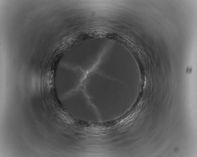 X0000099450818200805091504