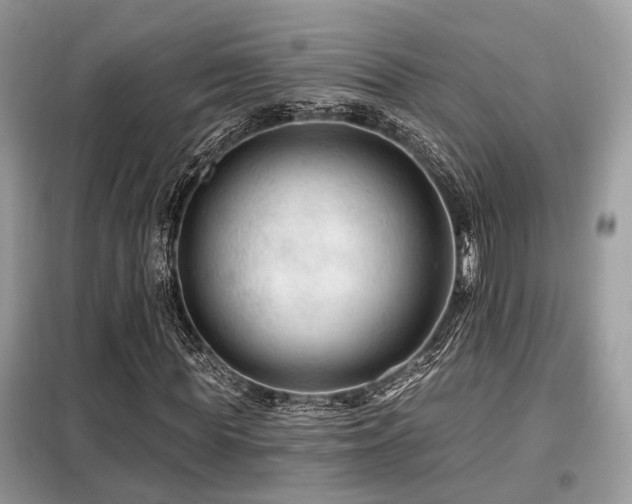 X0000099450819200805091504