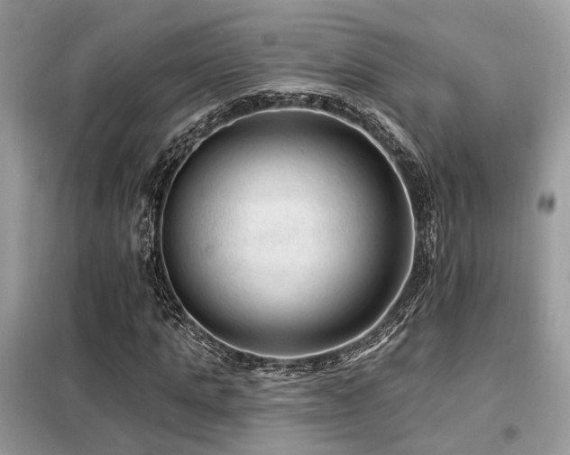 X0000099450821200805091504