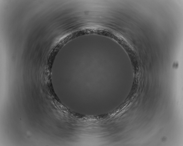 X0000099450822200805091504