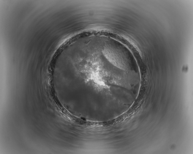 X0000099450823200805091504