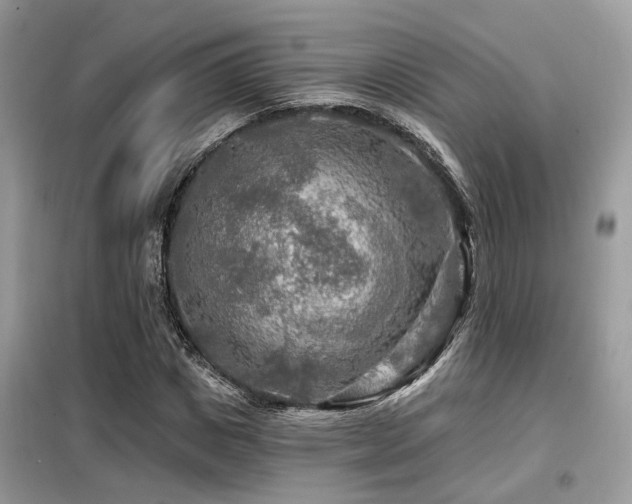 X0000099450825200805091504