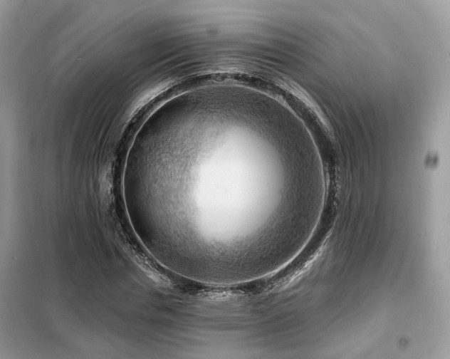 X0000099450826200805091504