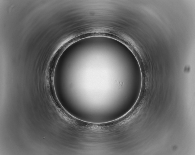 X0000099450827200805091504