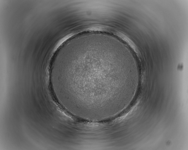 X0000099450829200805091504
