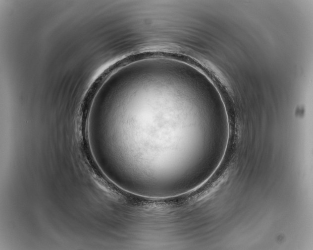 X0000099450830200805091504