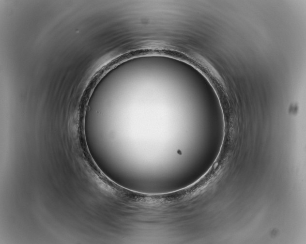 X0000099450831200805091504