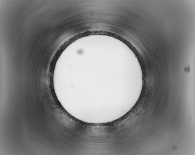 X0000099450832200805091504