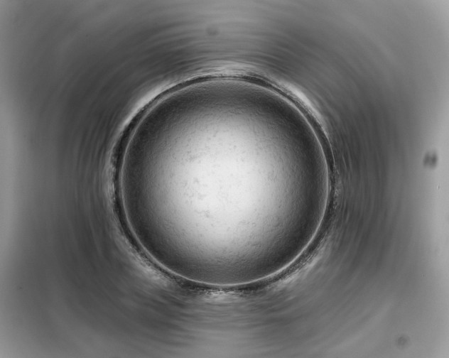 X0000099450835200805091504