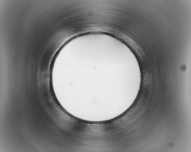 X0000099450836200805091504