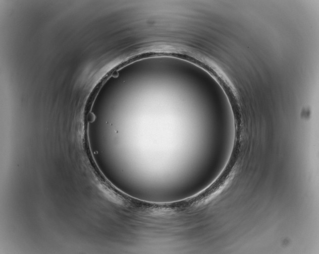 X0000099450837200805091504
