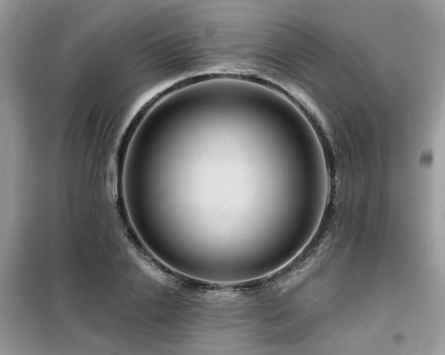 X0000099450838200805091504