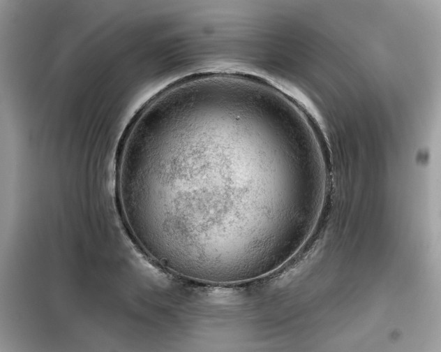 X0000099450839200805091504