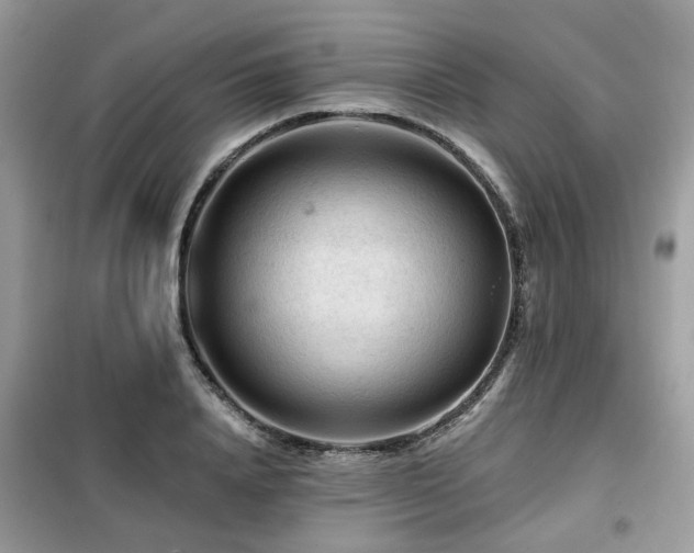 X0000099450840200805091504