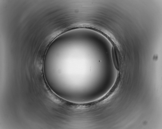 X0000099450841200805091504