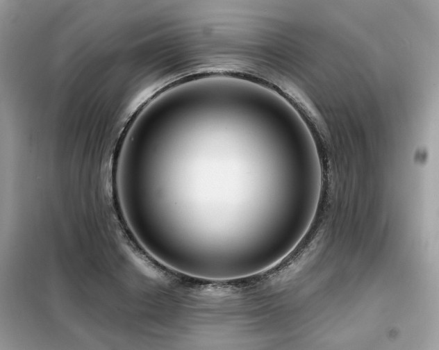 X0000099450842200805091504