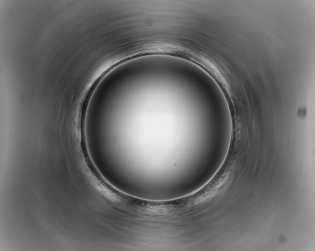 X0000099450843200805091504