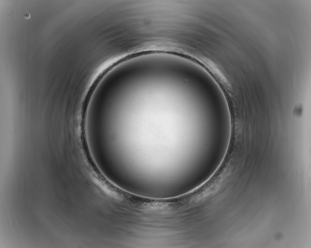 X0000099450846200805091504
