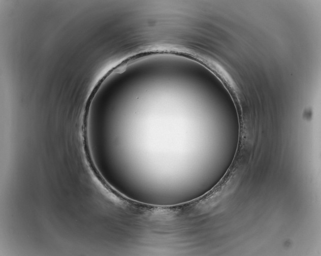 X0000099450847200805091504