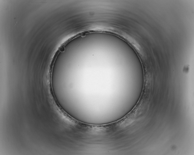 X0000099450848200805091504