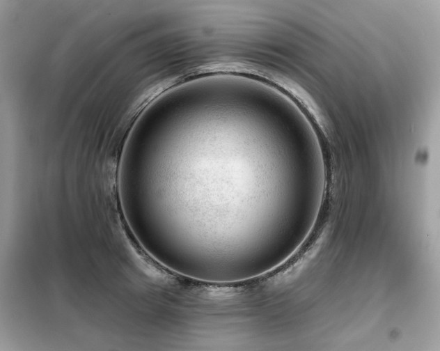 X0000099450849200805091504