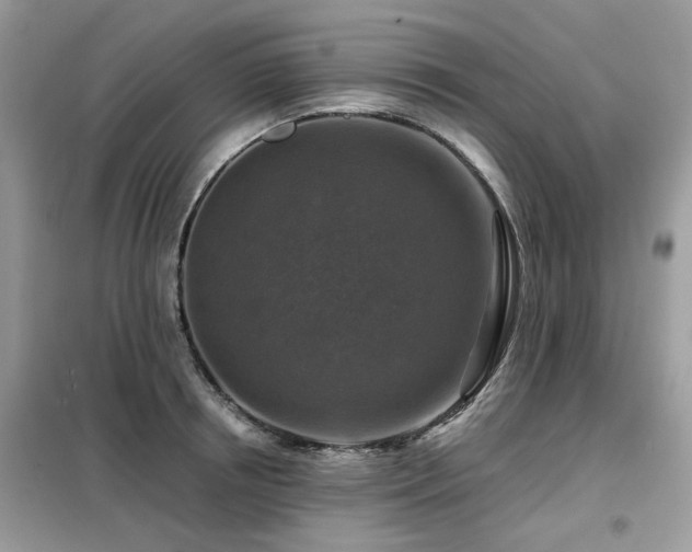 X0000099450850200805091504