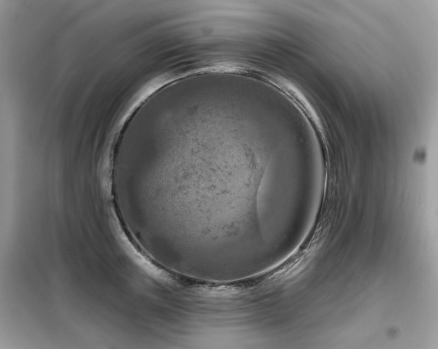 X0000099450851200805091504