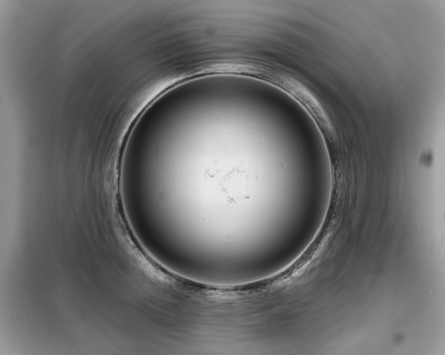 X0000099450852200805091504