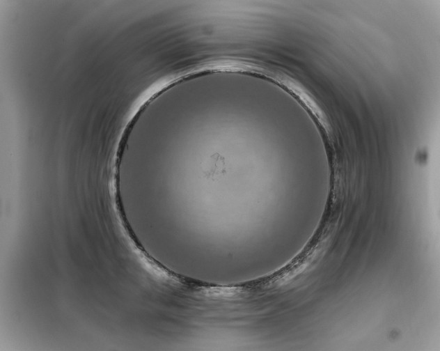 X0000099450853200805091504