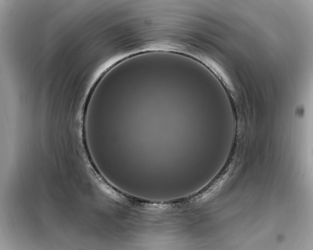 X0000099450854200805091504