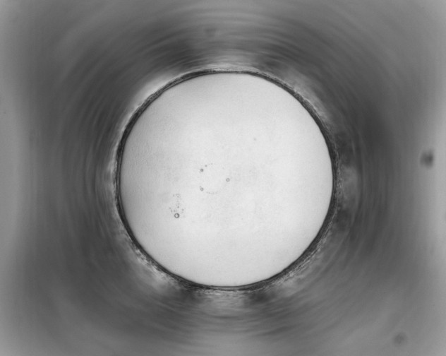 X0000099450856200805091504