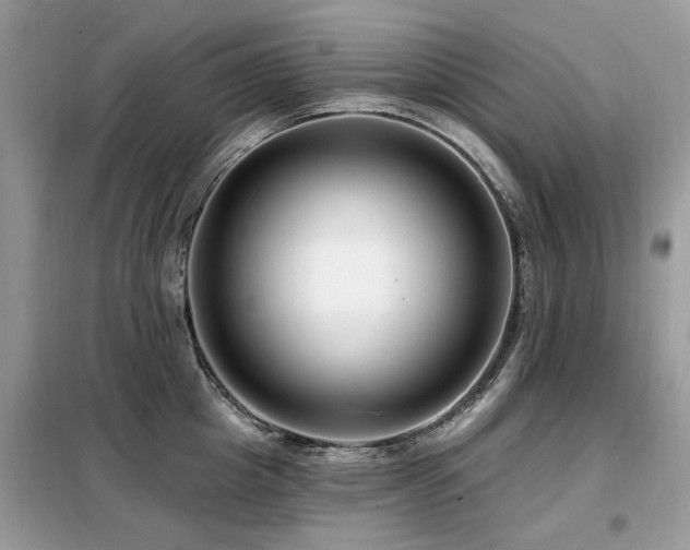 X0000099450857200805091504