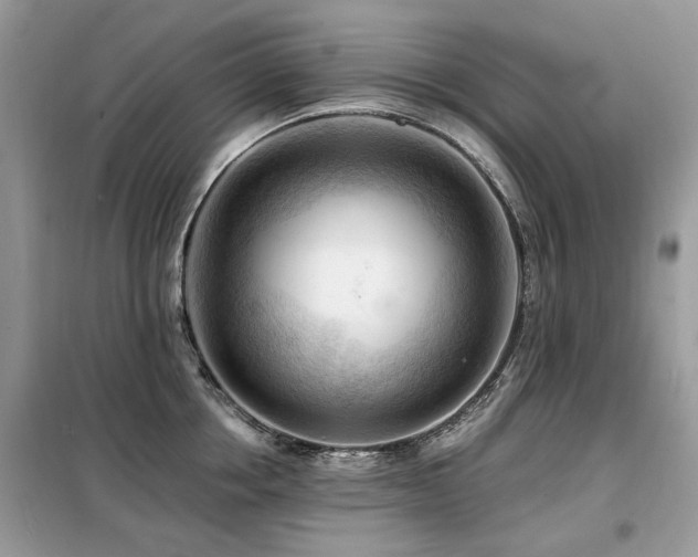 X0000099450858200805091504