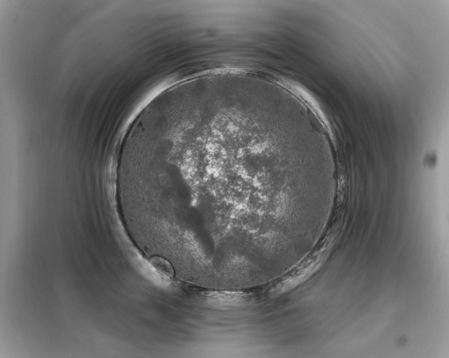 X0000099450859200805091504