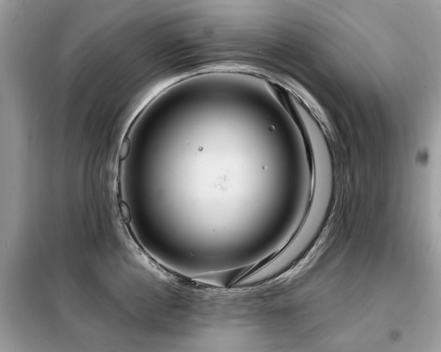 X0000099450860200805091504