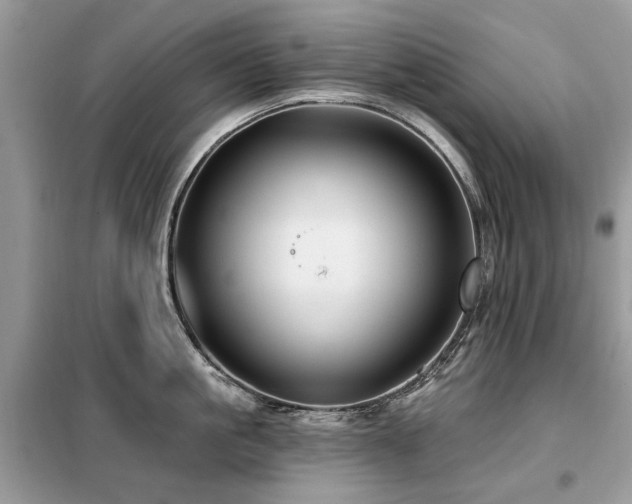 X0000099450861200805091504