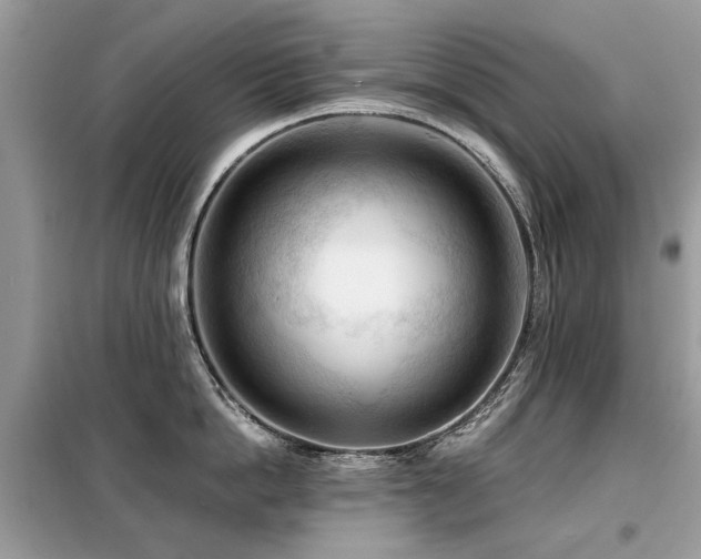 X0000099450862200805091504