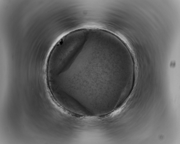 X0000099450864200805091504