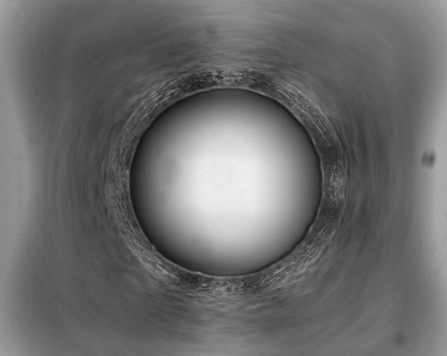 X0000099450865200805091504
