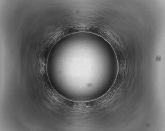 X0000099450866200805091503