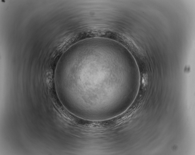 X0000099450867200805091503